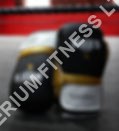Boxing gloves