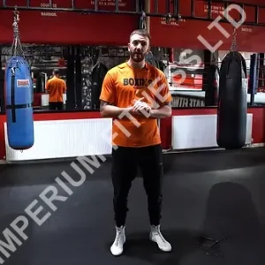 Online Coaching Premium